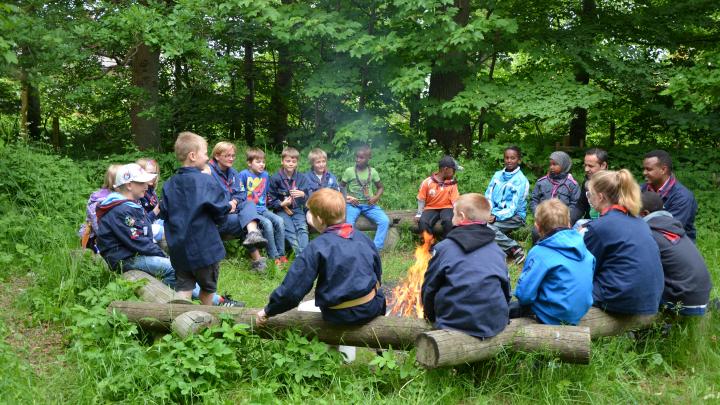 Psykiatri Mockingbird tub DDS's formål, værdier og principper